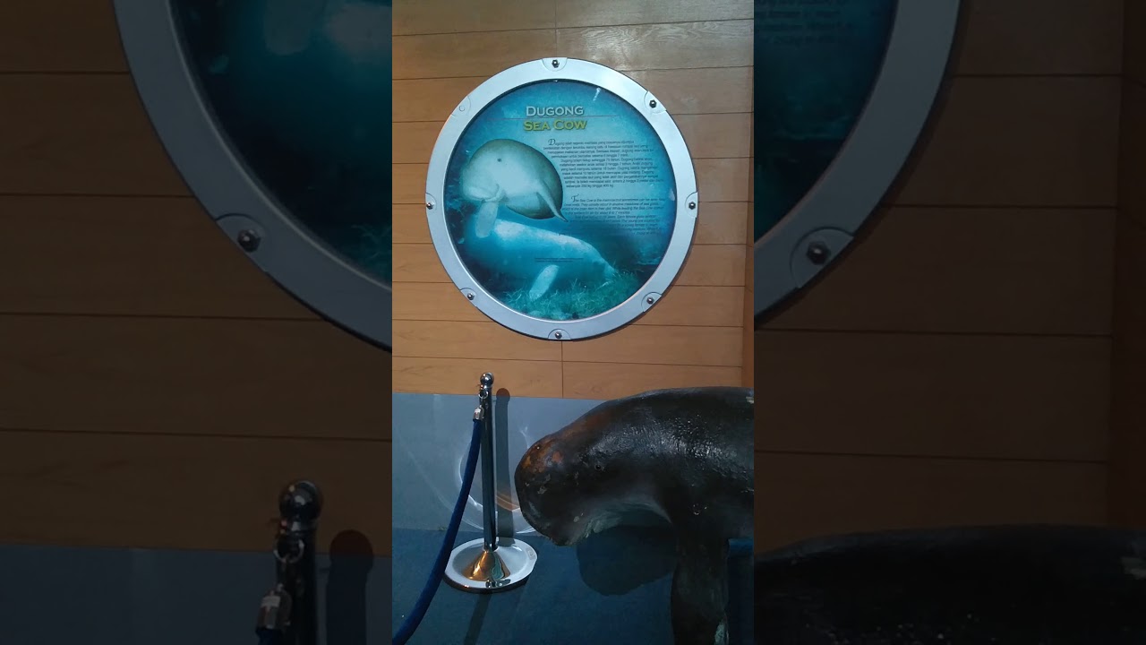 Labuan Marine Museum - free entry