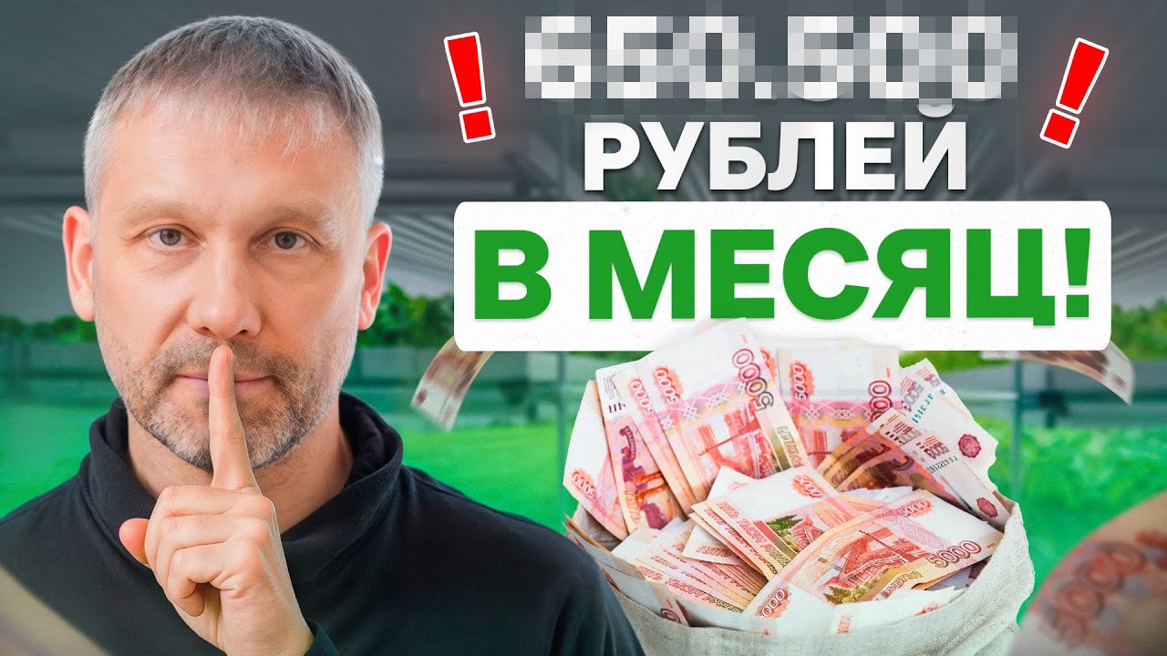 3 успешных варианта для старта тепличного бизнеса / С чего начать тепличное хозяйство?