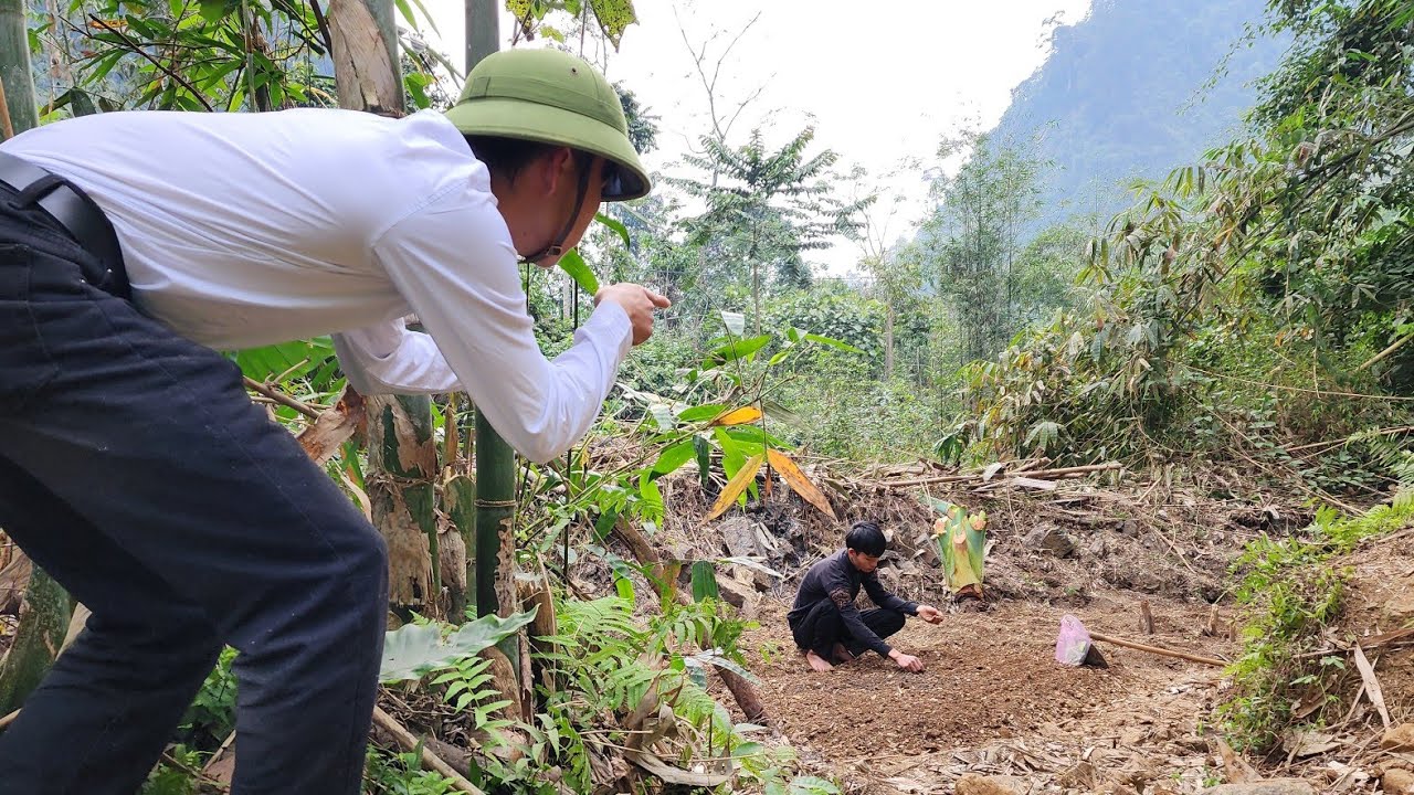 Homeless boy harvests late season tangerines, plants vegetables in new garden - Homeless Boy VN