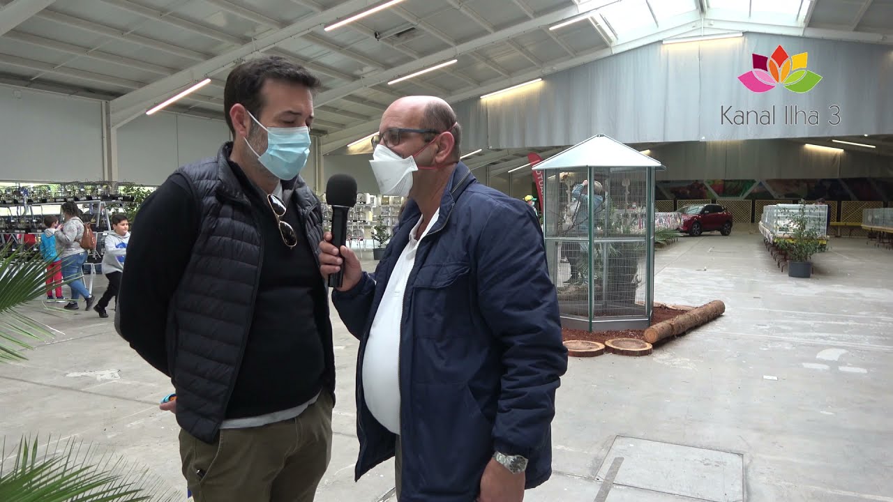 EXPOSIÇÃO AVES NA VINHA BRAVA