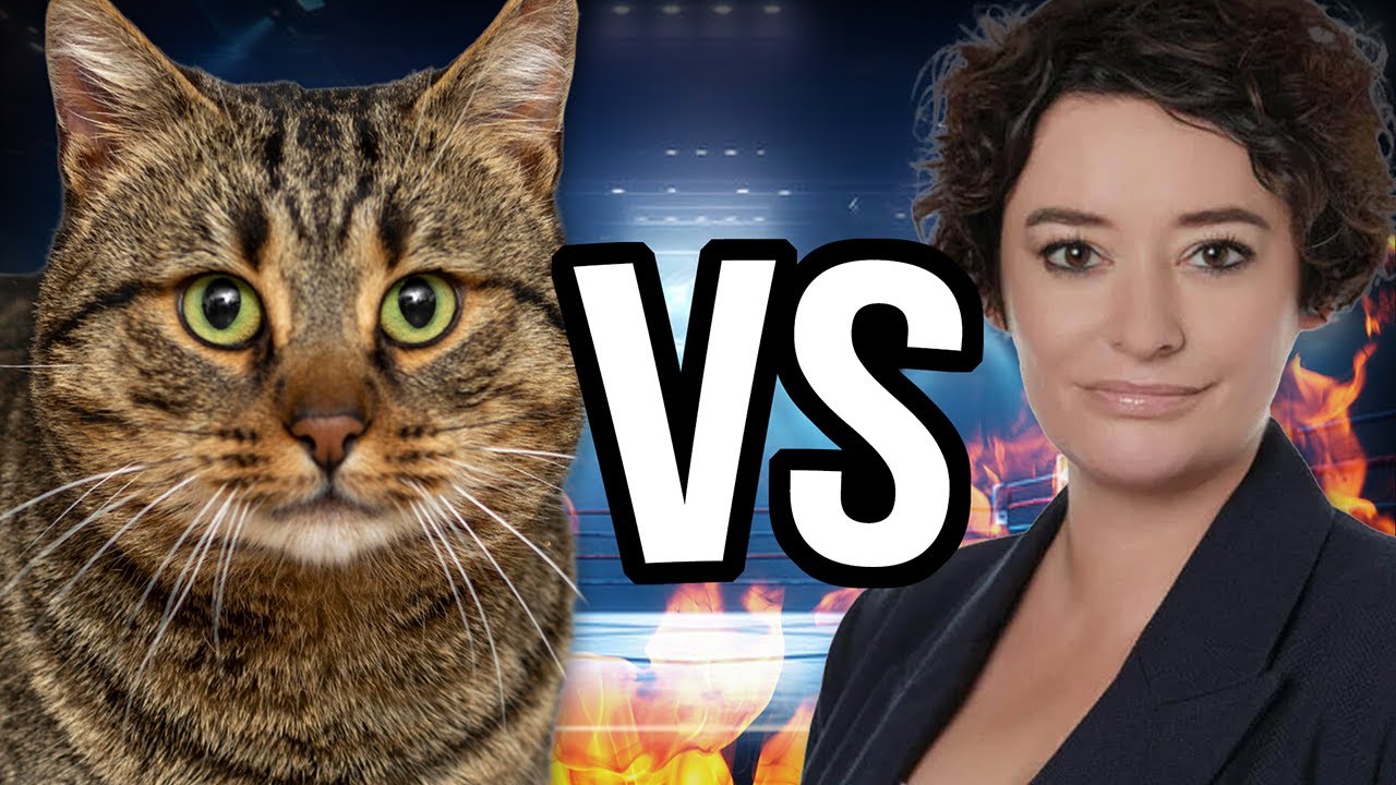 🐈 Czy powinniśmy trzymać koty w domu?