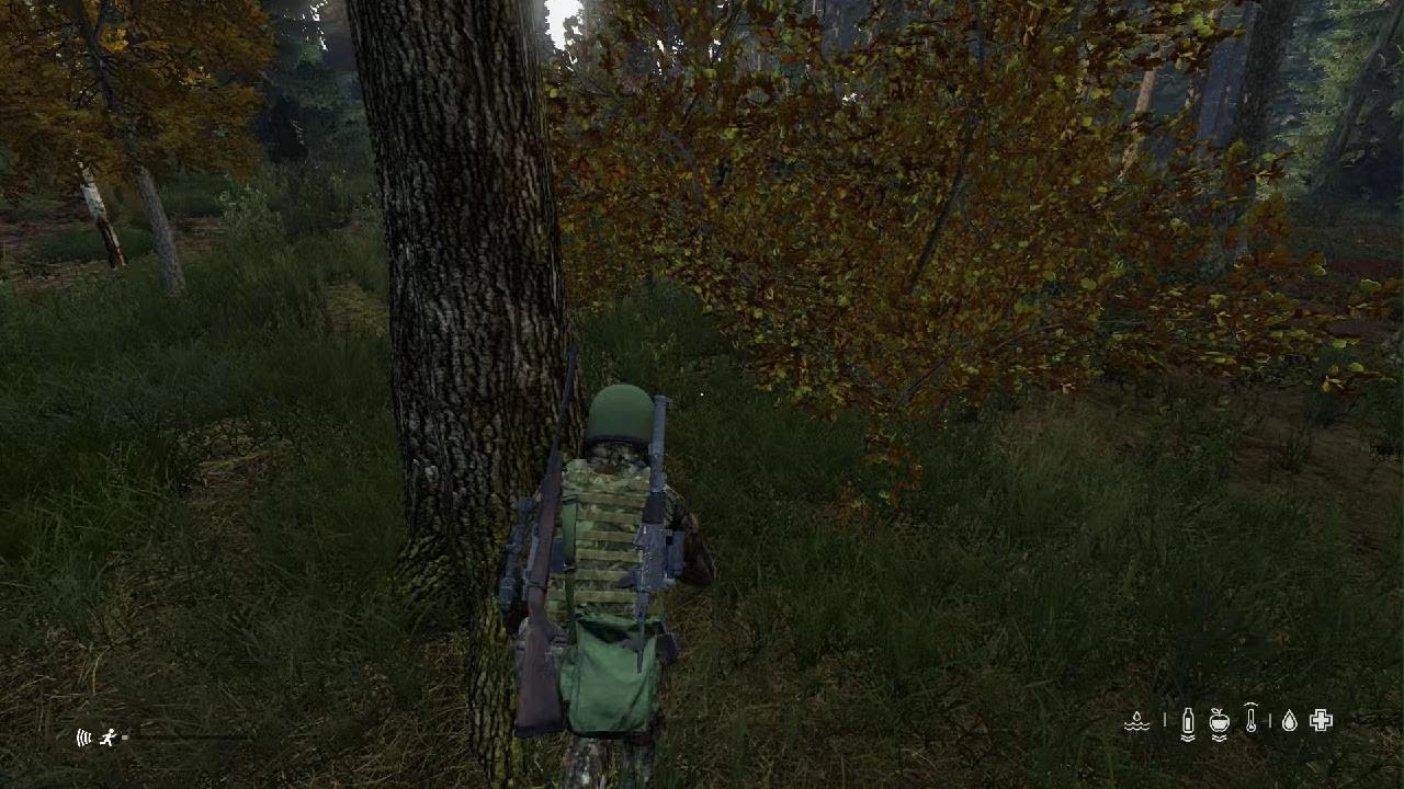 DayZ official 0039 #297 big stash