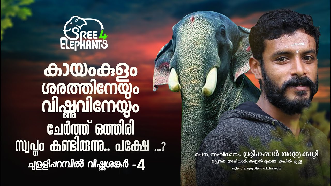അഞ്ചു കോടി വിലയുള്ള ആനയ്ക്ക് വെറും അഞ്ചു ലക്ഷം രൂപയുടെ ഇൻഷൂറൻസ്...?