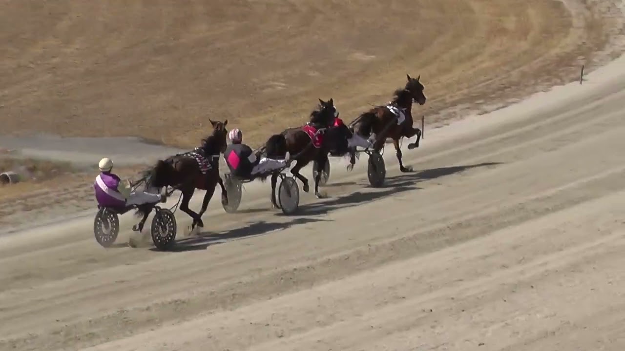 Maryborough T7 15.2.26