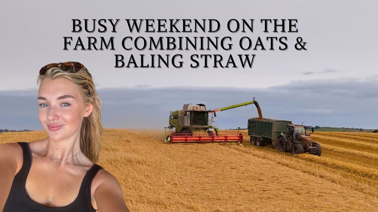Busy Weekend On The Farm Combining Oats & Baling Straw