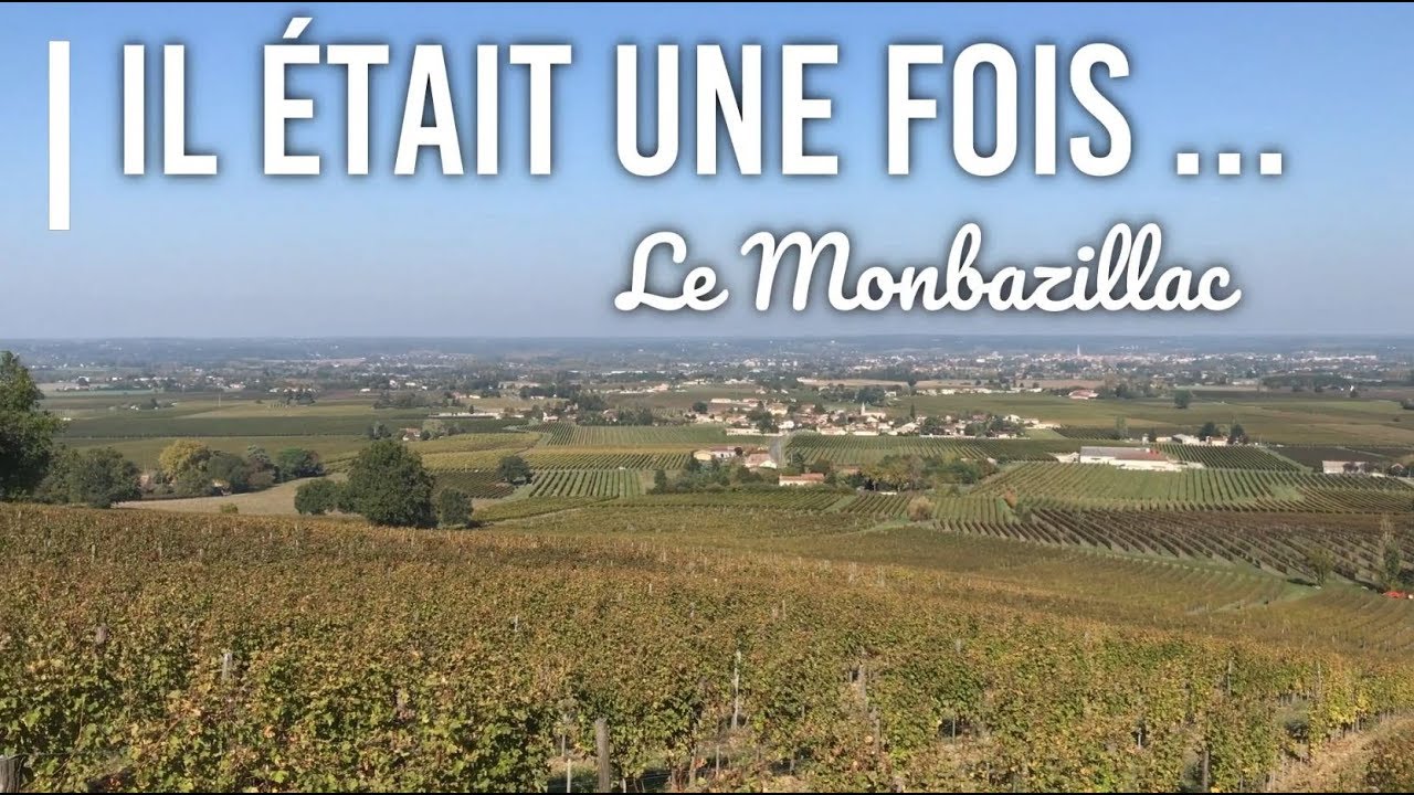 Les vendanges du Monbazillac, les secrets de ce vin ...