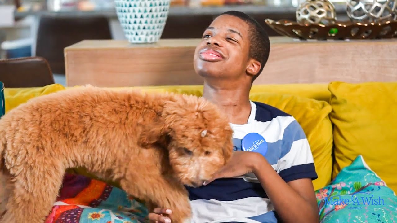 Brendan's Wish for a Puppy | Make-A-Wish Arizona