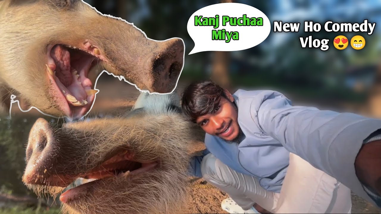 New Ho Comedy Vlog Video 😂😂 Patu Desi Ho Vlog Video 