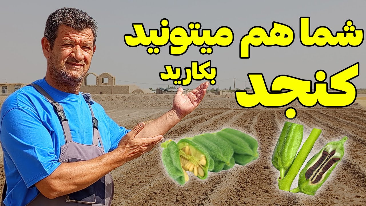 چطور به ساده ترین روش کنجد بکاریم