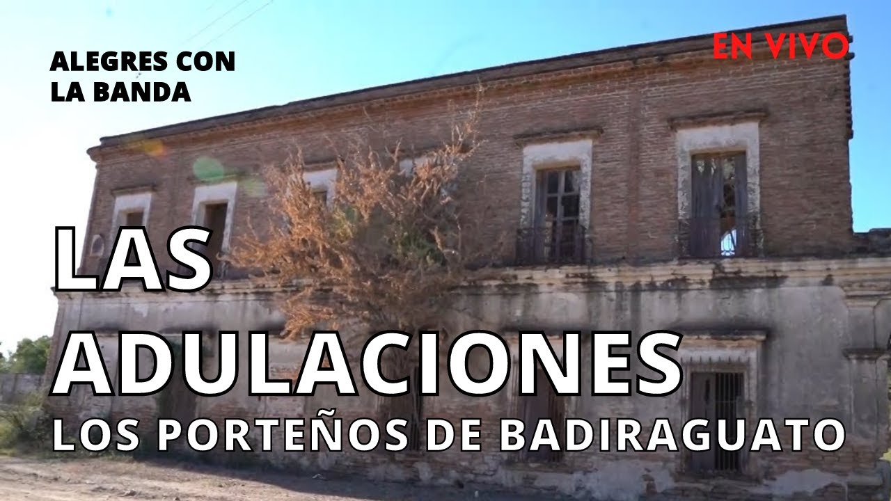 Los Porteños De Badiraguato - Las Adulaciones  ¡EN VIVO!