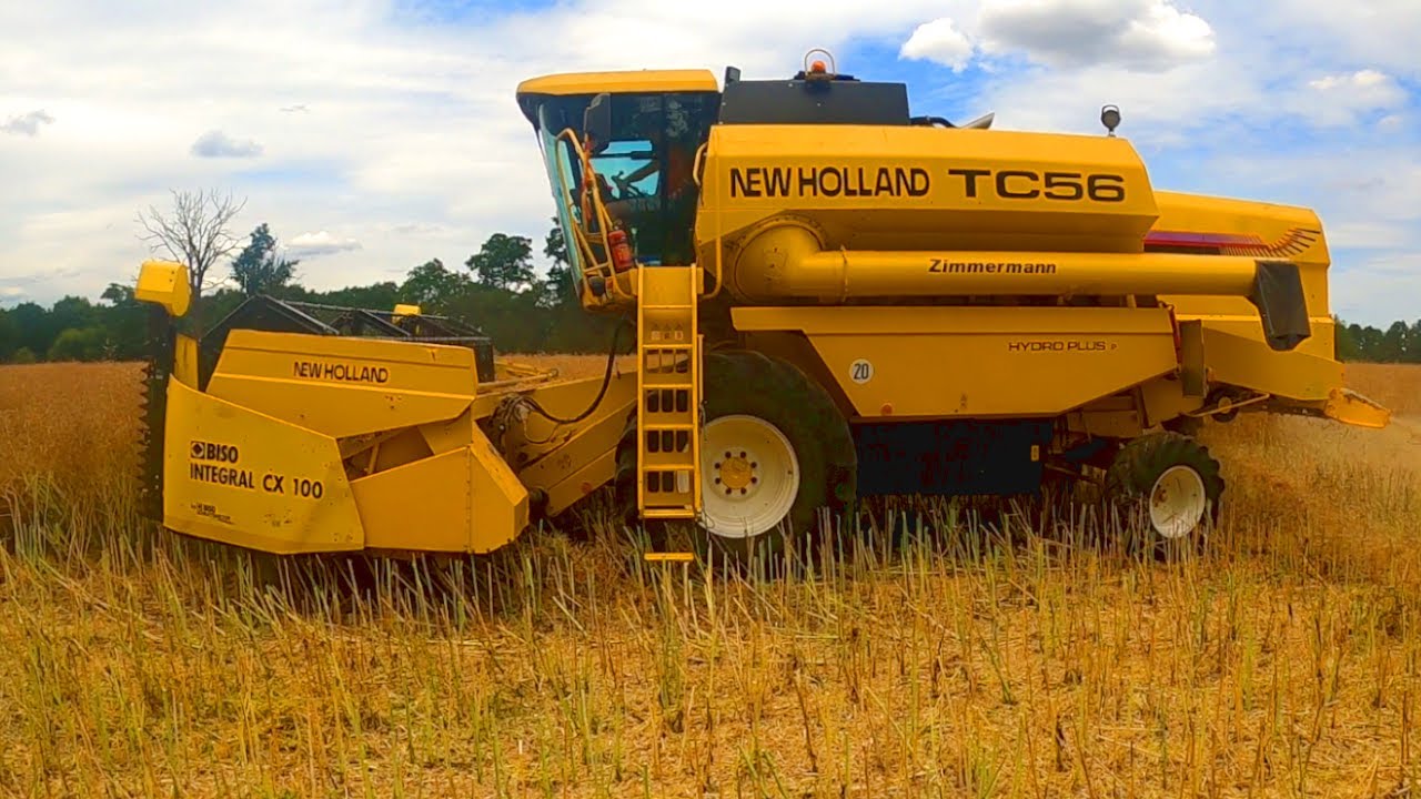 BIZON Z056 / NEW HOLLAND TC 56 / ŻNIWA 2023 / KOŃCZYMY RZEPAK / WJAZD W PSZENICE [VLOG 60]