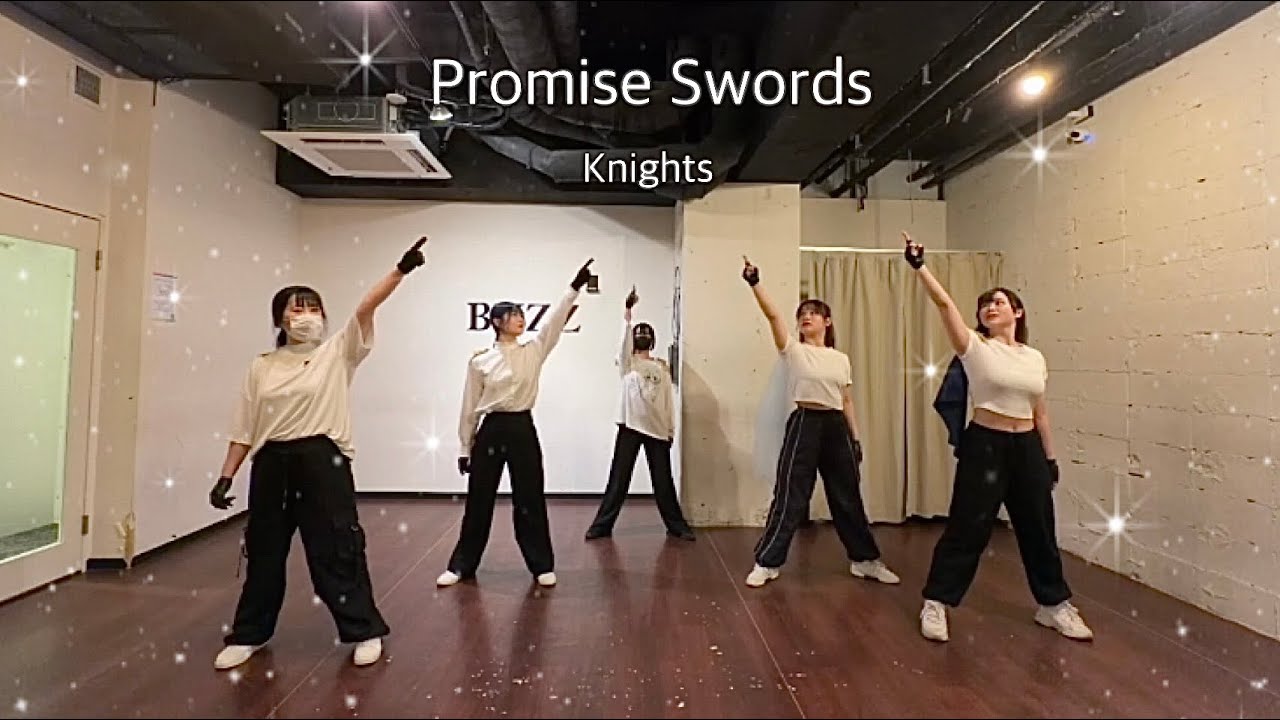 【踊ってみた】Promise Swords／Knights ⚔️