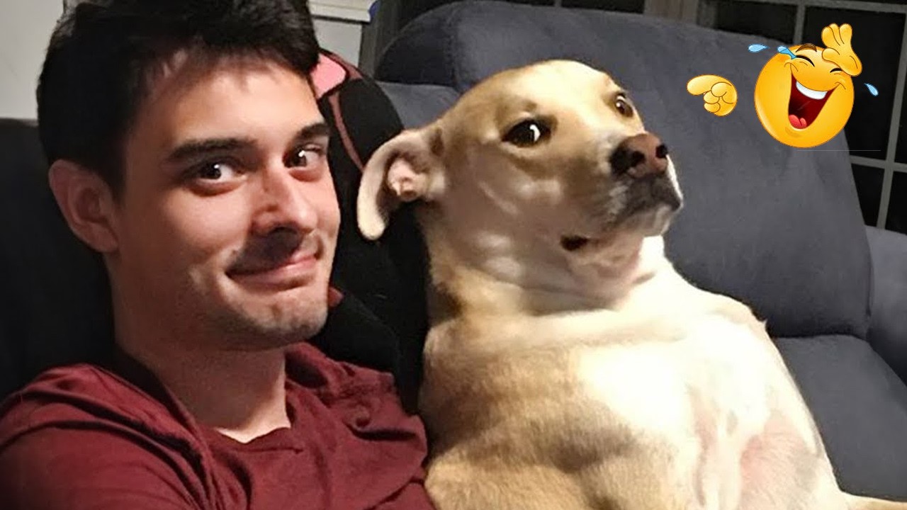 You’ll Die Laughing Watching These Dogs 😂🐶 The Funniest Dog Moments Compilation #44