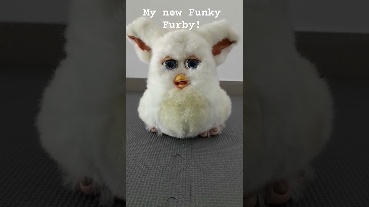 I got a new 2005 Funky Furby! #furby  #vintage #cute