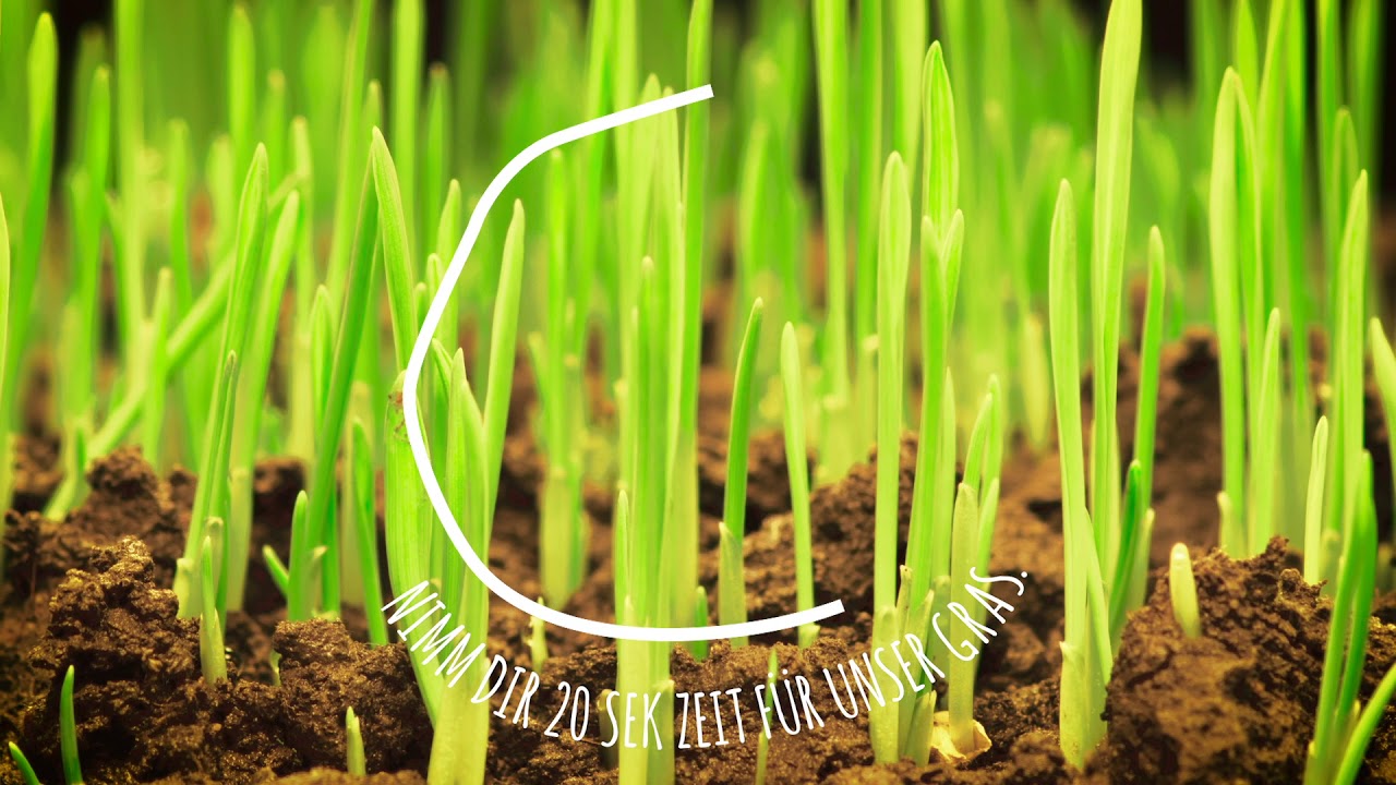 Arla BIO | Nimm dir Zeit für unser Gras