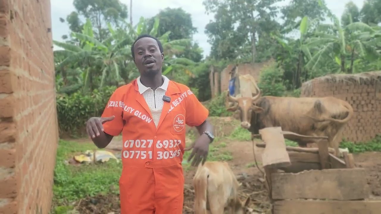 Kibi Nyo Ekituuse Ku Bintu Bya Kadaama Bambi