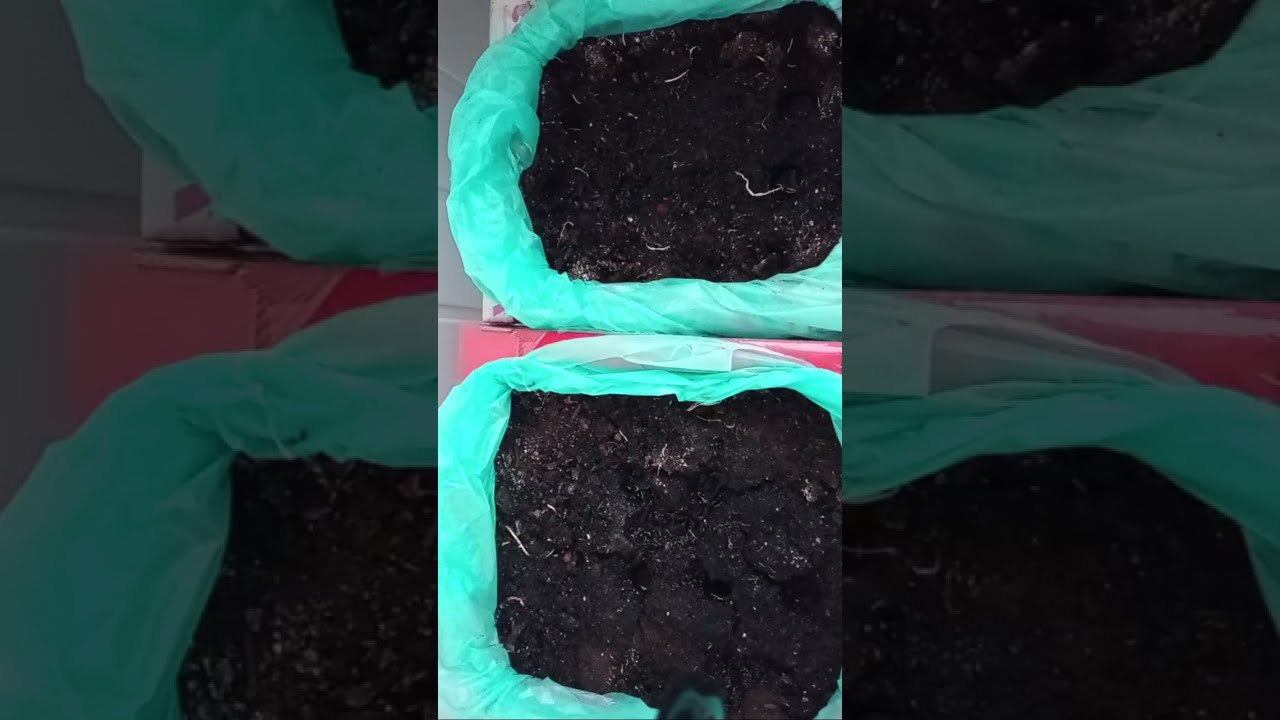 Рукоділля з Nilena Sans