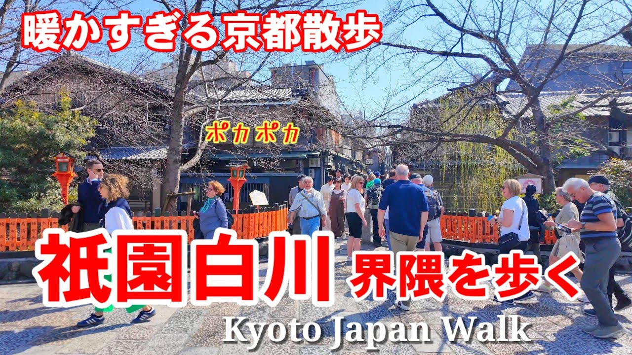 3/22(土)観光客で賑わう京都 暖かすぎる陽気の祇園白川〜祇園四条を歩く【4K】Kyoto Japan Walk