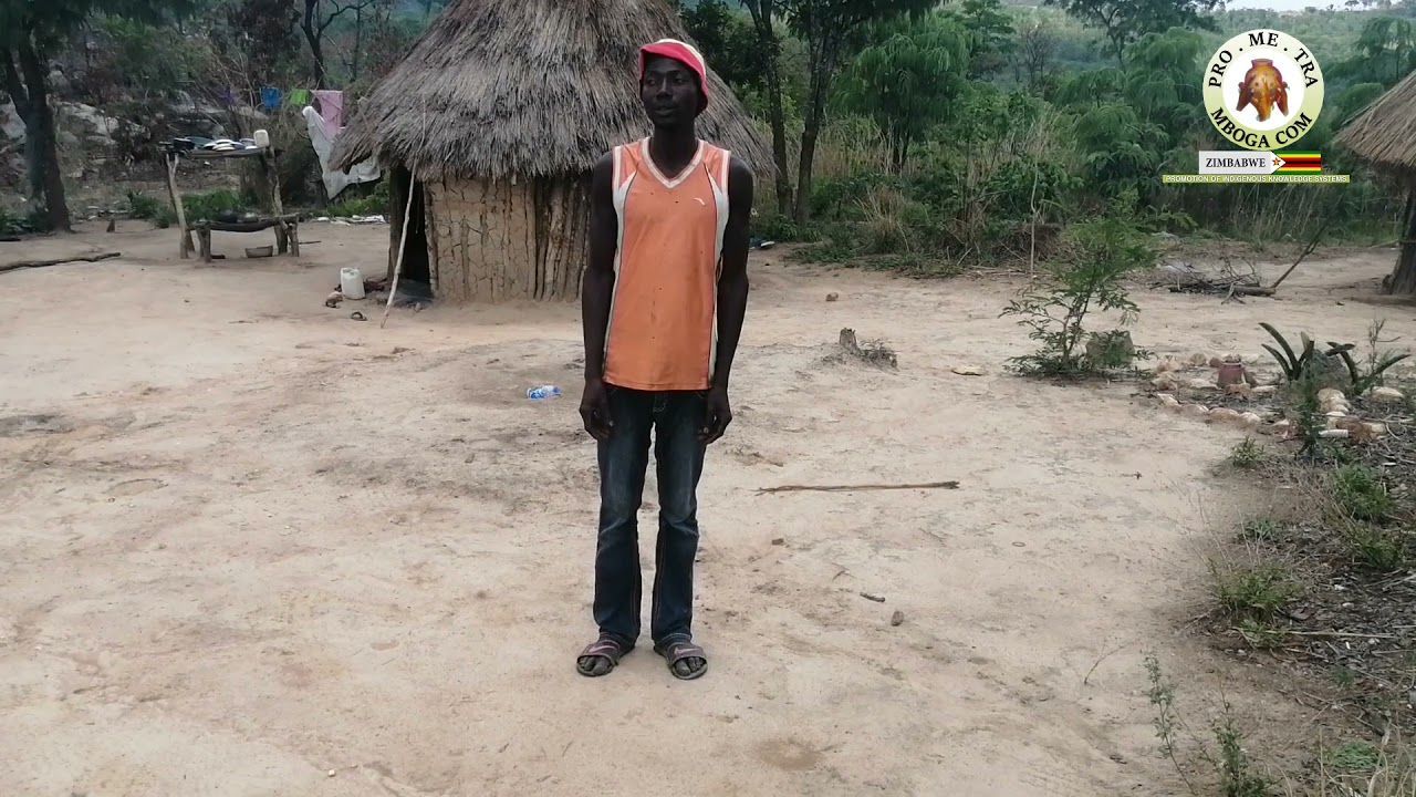 SACRED MOUNTAIN HORROR - Man speaks on encounter with snake, urges community to respect such areas