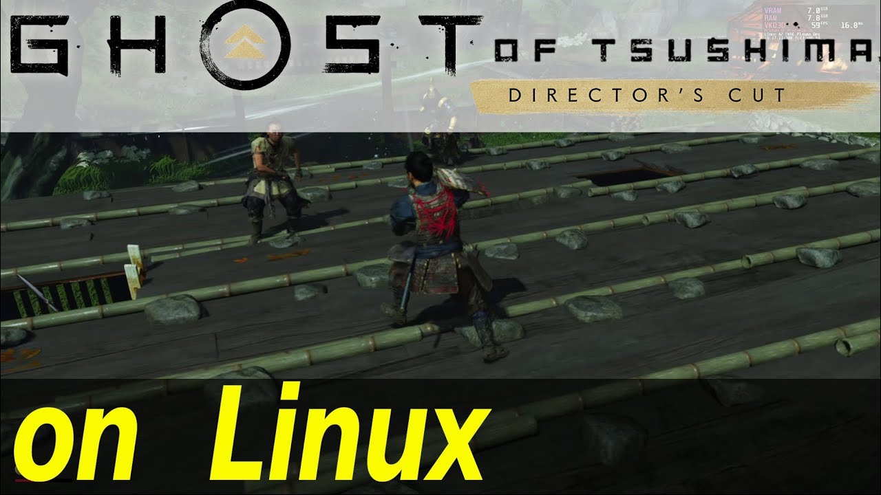 Ghost of Tsushima: Director's Cut on Linux