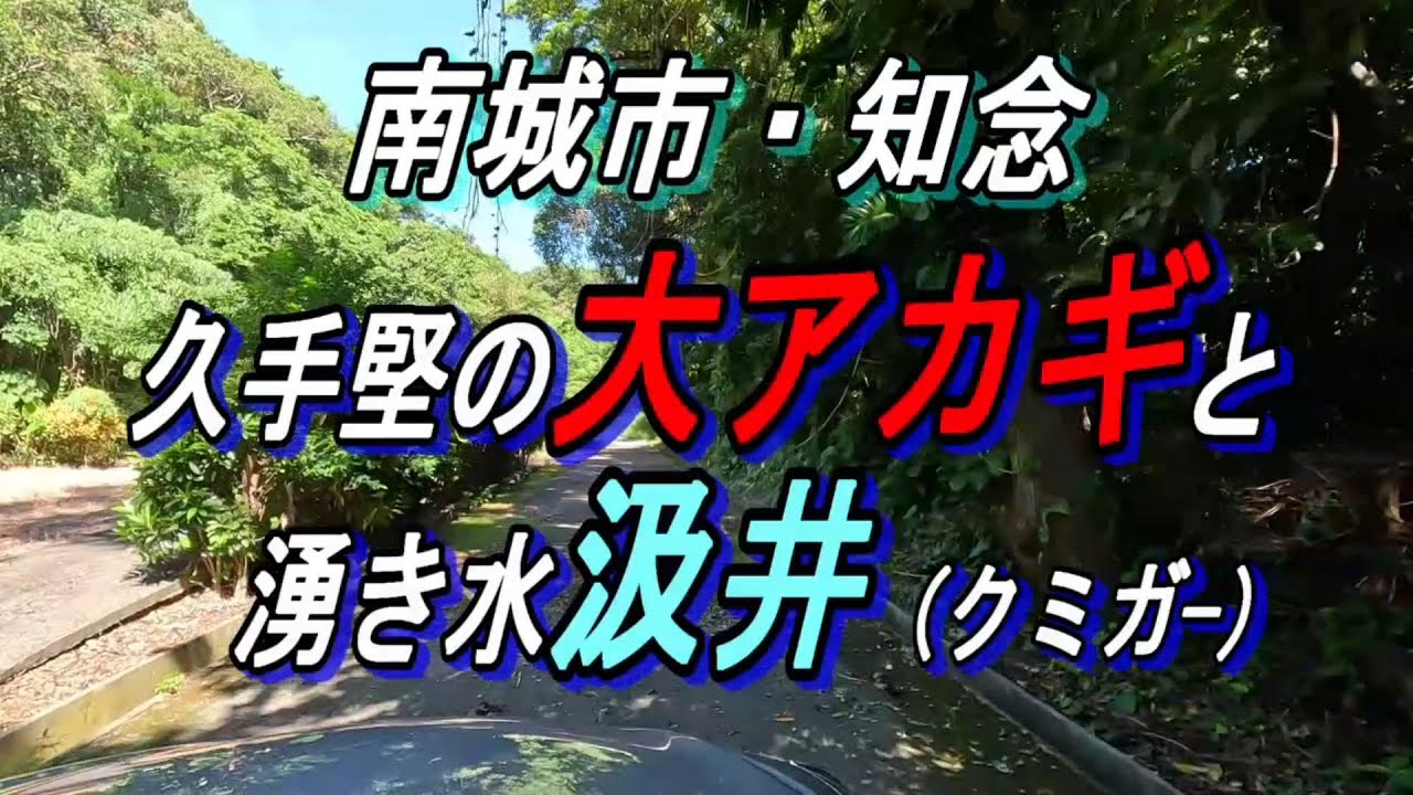 「沖縄の湧水」南城市久手堅「汲井」とその前に立つ大あかぎ～土地の人からお話を沢山聞いてみた〜中国の首相に直電出来る村、