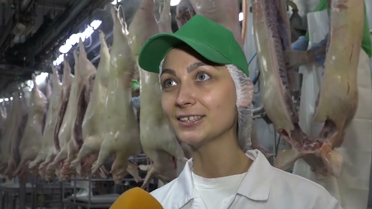 Территория СИБАГРО. Реконструкция мясокомбината
