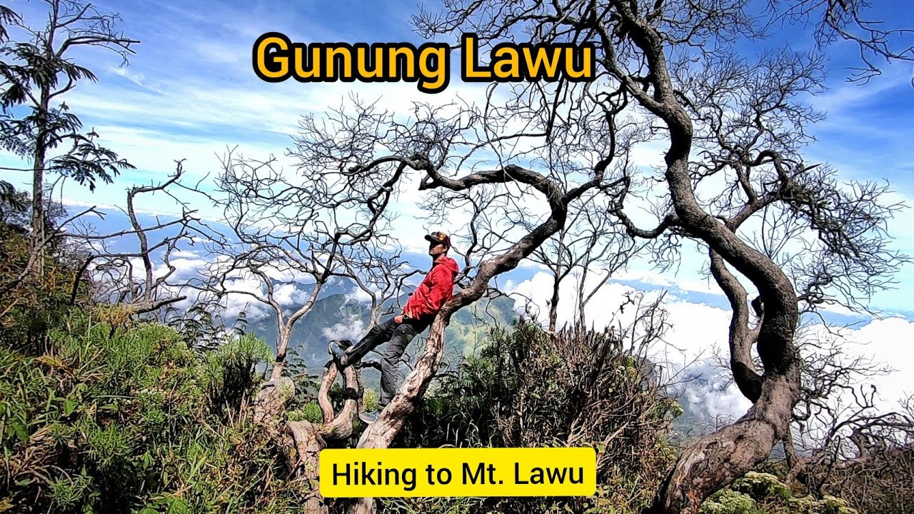 HIKING MOUNT LAWU, Indonesia | I found an ancient Javanese Hindu Temple
