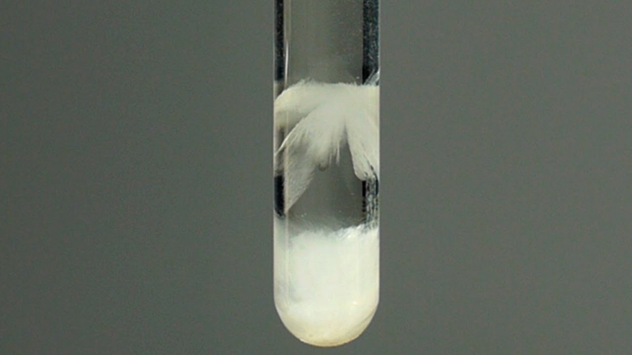 Solubilidad y Temperatura. Precipitado. Experimento.