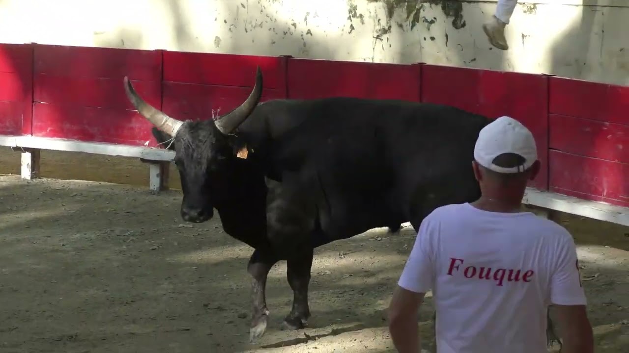 SOMMIERES (07/07/2024) - Le résumé de la course