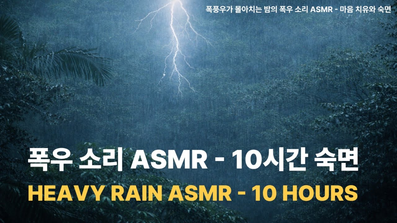 나의 비오는 밤 | 폭우가 모든 생각을 덮는 밤 (10시간 헤비레인)