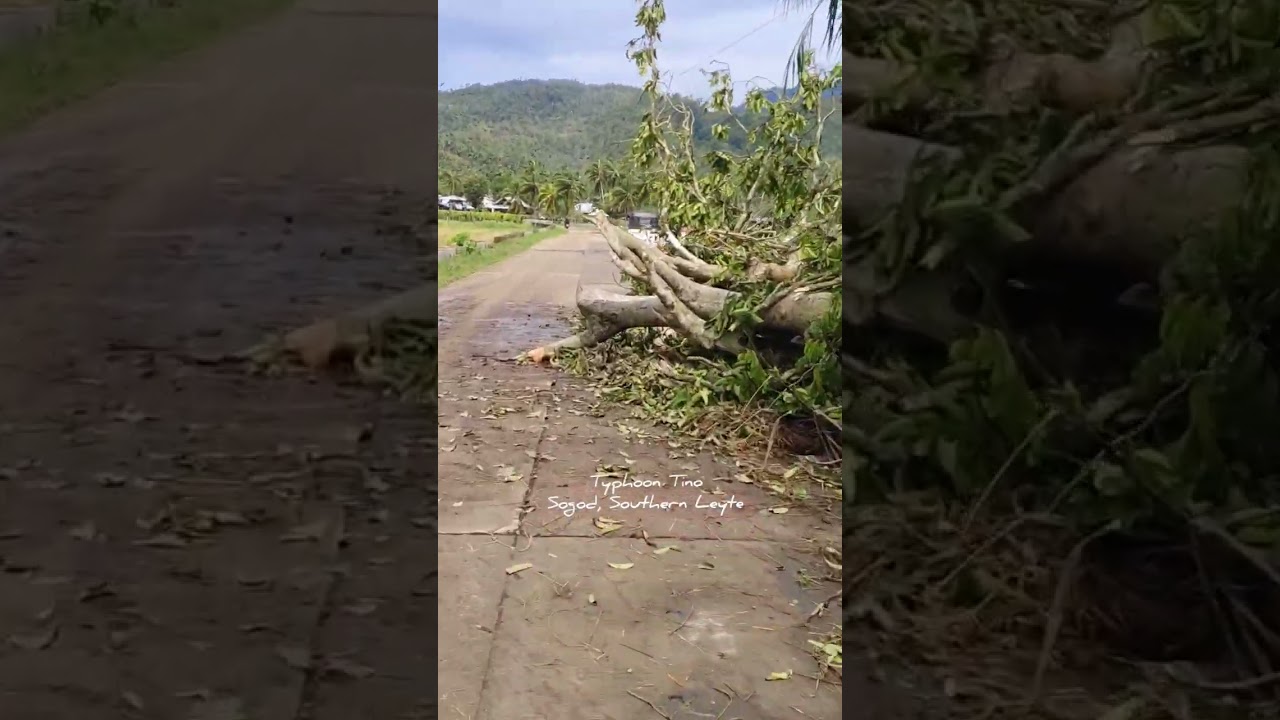 Checking Affected Areas In Sogod After Typhoon Tino 