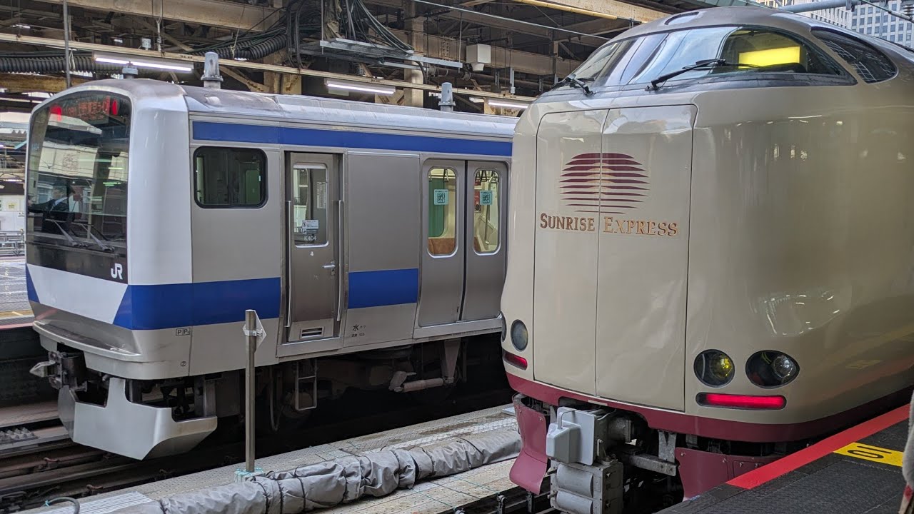 [快適]寝台特急サンライズ出雲号に乗ってみました!B寝台シングル下段　備中高梁駅→東京駅