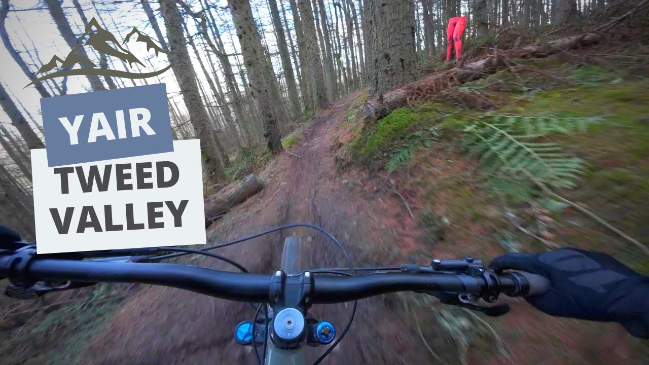 Prime conditions for Yair, Tweed Valley