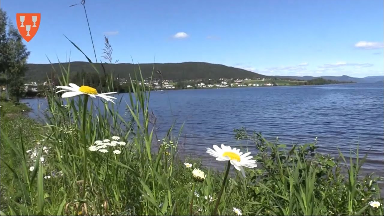 DETTE ER JEVNAKER 2019