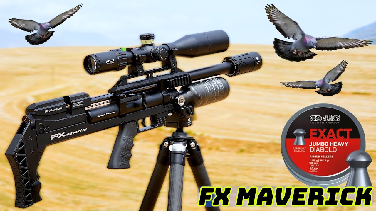 Обезглавливающие выстрелы в голову! | FX Maverick | Wildcat BT Compact | Пули и пули | Охота | Выстрелы в голову