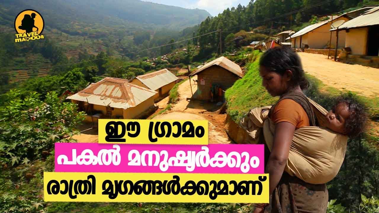വട്ടവടയിലെ ഉൾവനത്തിലുള്ള സാമിയാറളകുടി | #vattavada #kanthalloor #munnar