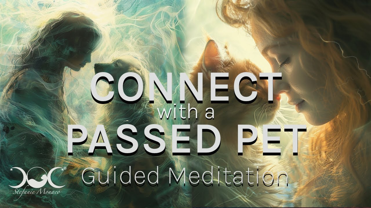 Connect with Passed Pet Guided Meditation