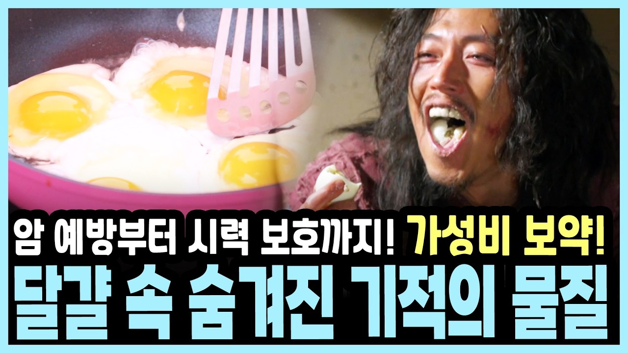 콜레스테롤 무서워서 달걀 피하셨나요? 노른자가 오히려 지방을 녹이는 이유 I KBS 건강혁명 20160531 방송