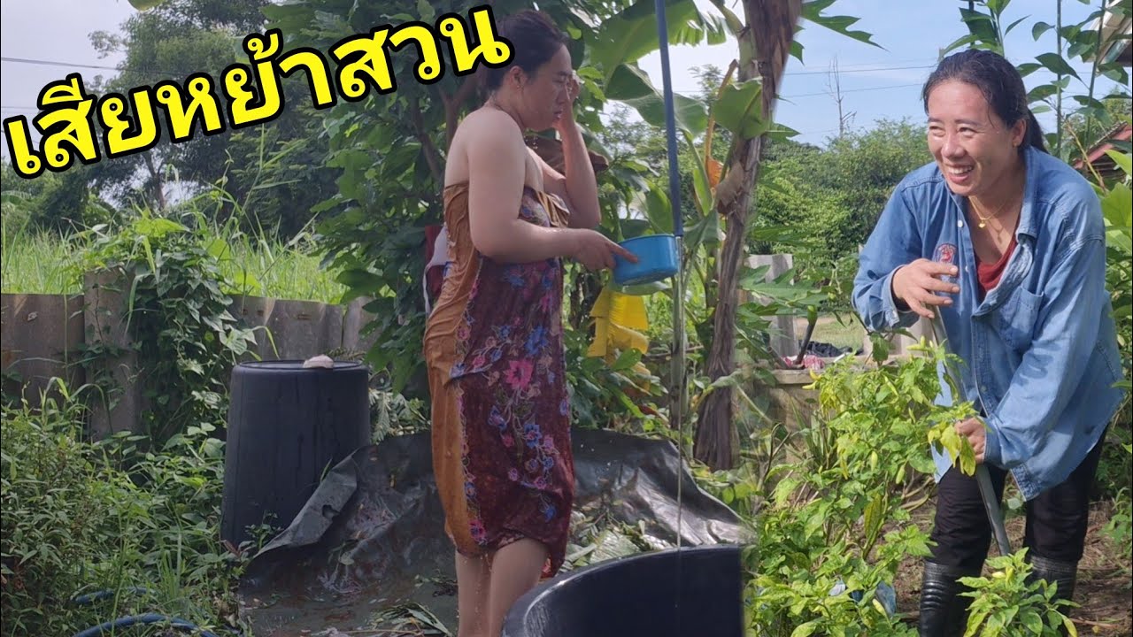 7 มิถุนายน ค.ศ. 2025 สาวลาวเสียหย้าสวน #วิถีชาวบ้าน #สาวลาว 🇱🇦