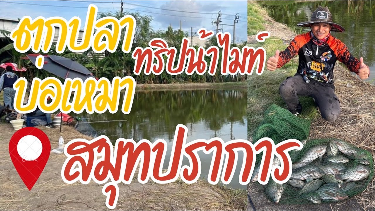 ตกปลาบ่อเหมา!!ทริปน้าไมท์!!คลองเก้า สมุทรปราการ