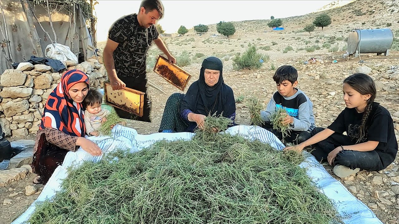 Nomadic Life: Nomadic Herb Gathering | Nomadic Remedies for Cold Winter Days🌿❄️