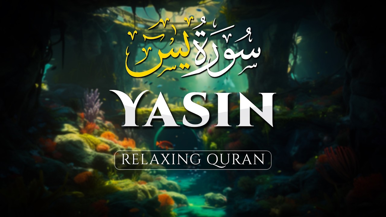 Peaceful Quran Recitation of Surah Yasin (Yaseen) سورة يس, Calming Relaxing Quran - ALAA AQEL
