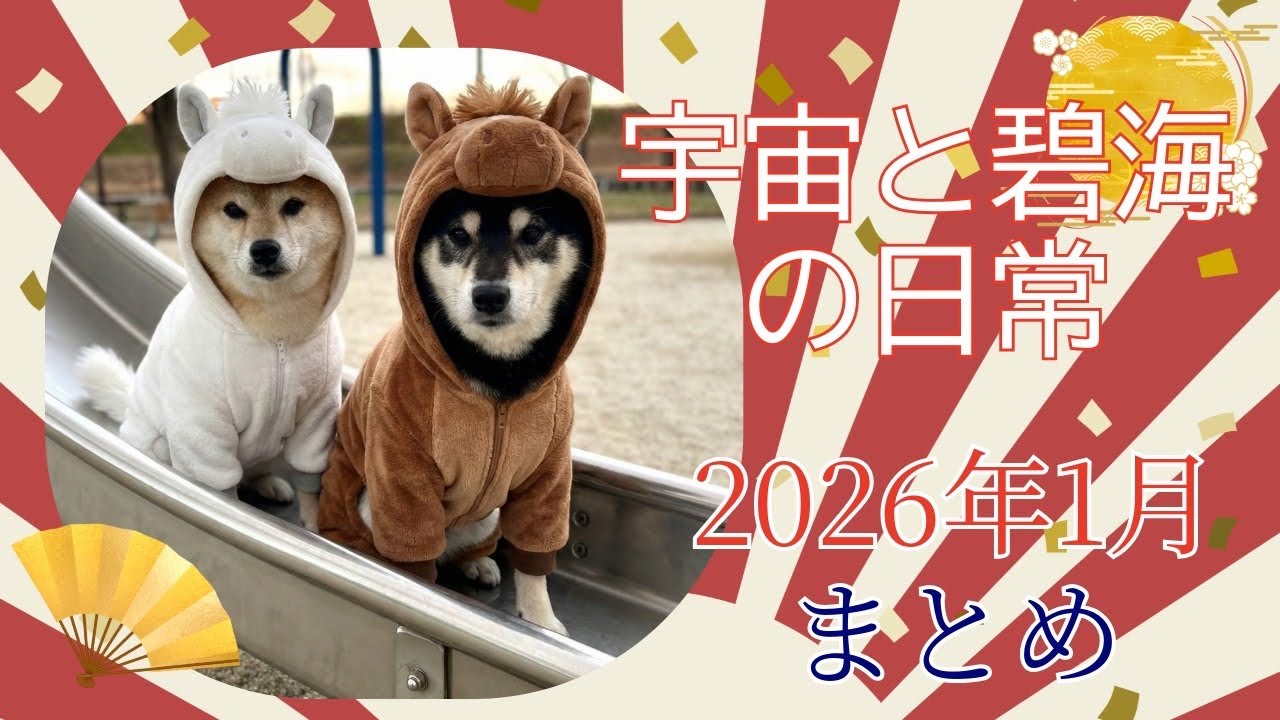 宇宙と碧海の日常2026年1月まとめ