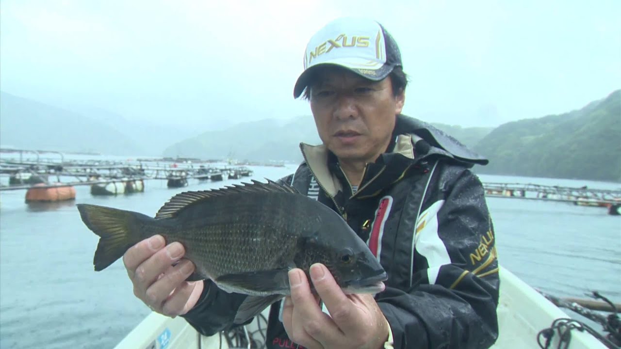 【いつでも釣り気分！】#203 高知県宿毛湾　中切テクニックで未開拓エリアのチヌを攻略
