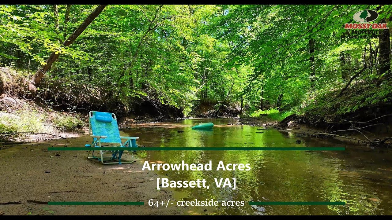 59+/- Wooded, Creekside Acres For Sale in Henry County, VA - Justin Rolfe, Mossy Oak Properties