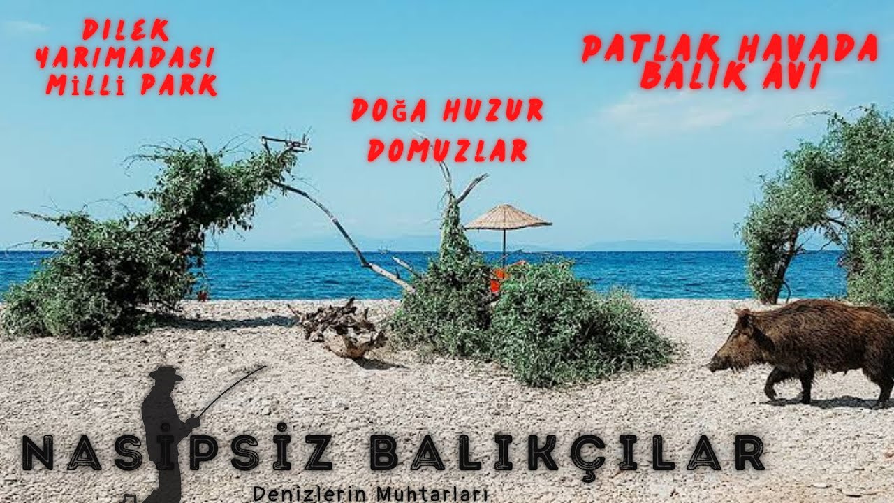 KUŞADASI - MİLLİ PARK BALIK AVI #balıkavı #surfcasting #balikcilik #fishing
