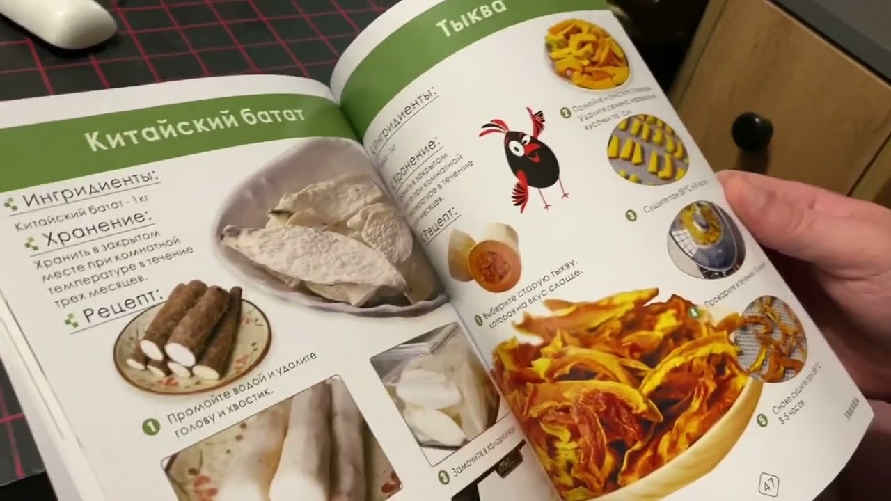 Серый и Дегидратор для мяса TAKARA DF-06 / сушит не только мясо, овощи, фрукты, но и пластик 😏