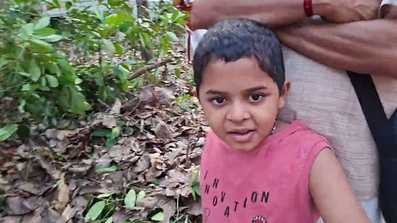 ആലപ്പുഴ അനന്തനാരായണപുരം  ക്ഷേത്രത്തിൽ ധ്വജ പുന പ്രതിഷ്ഠയ്ക്കായുള്ള  ധ്വജ വൃക്ഷത്തിന് നടത്തിയ പൂജ.