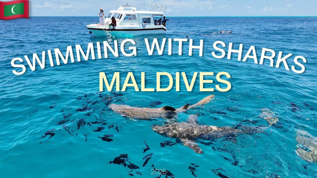 EP.2 SWIMMING With NURSE SHARKS in the Maldives | Thrilling Adventure!