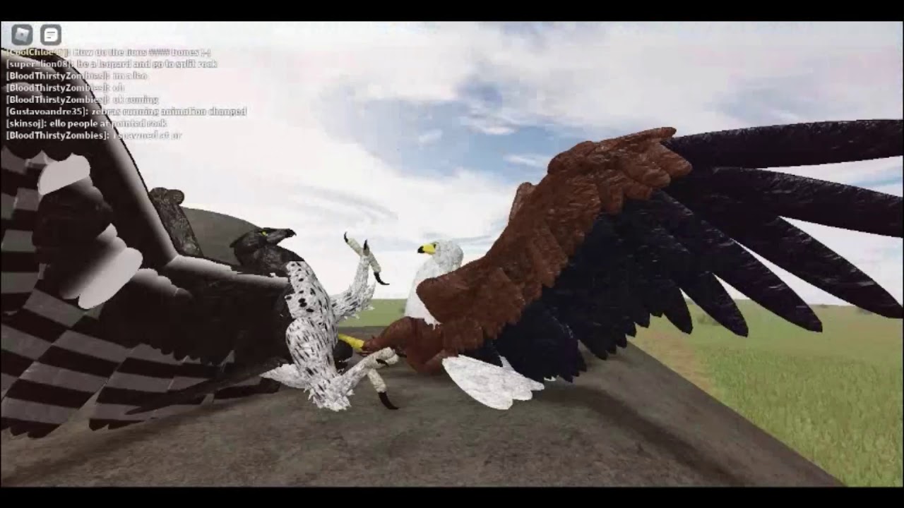 Bird Combat! || Testing A Update || Roblox